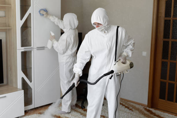 Mold Testing and Removal in Williamsport, PA